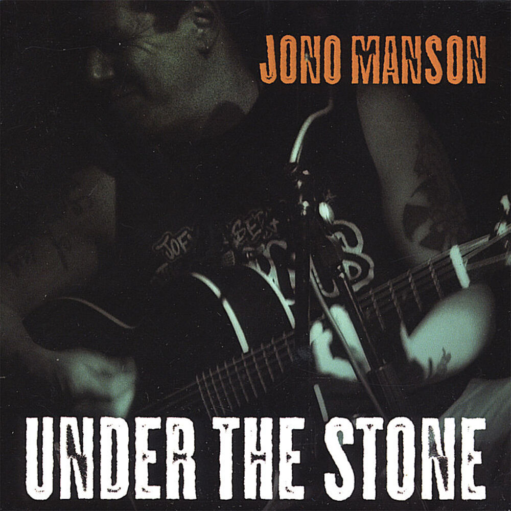 Picture of Under the Stone