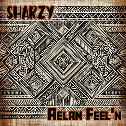 Cover of Aelan Feel'n
