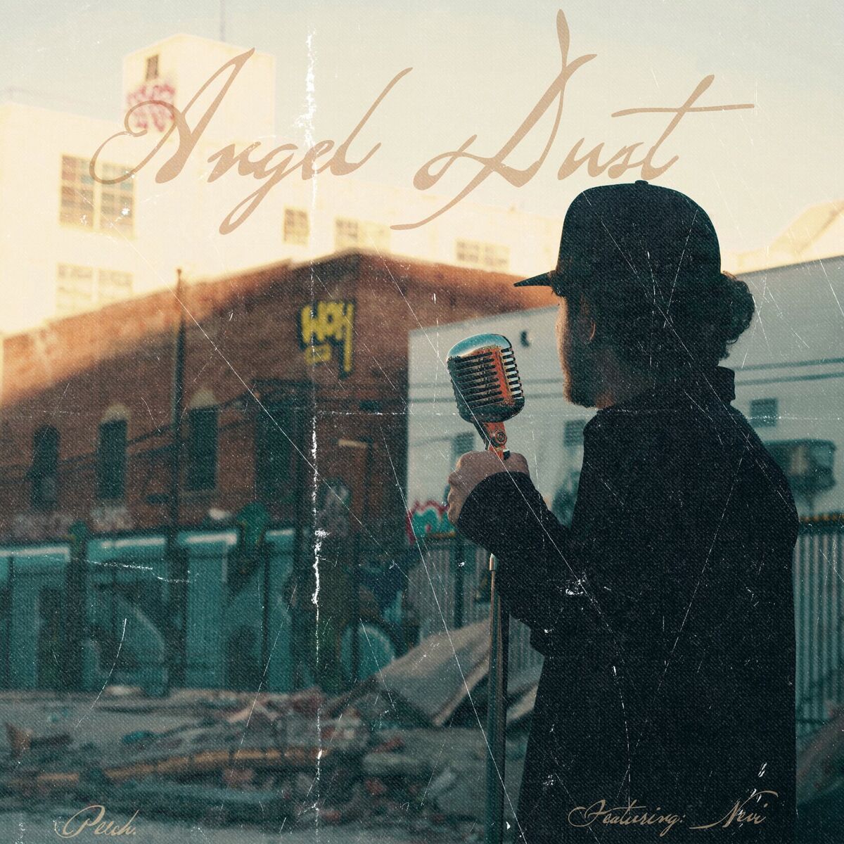 Album cover of Angel Dust