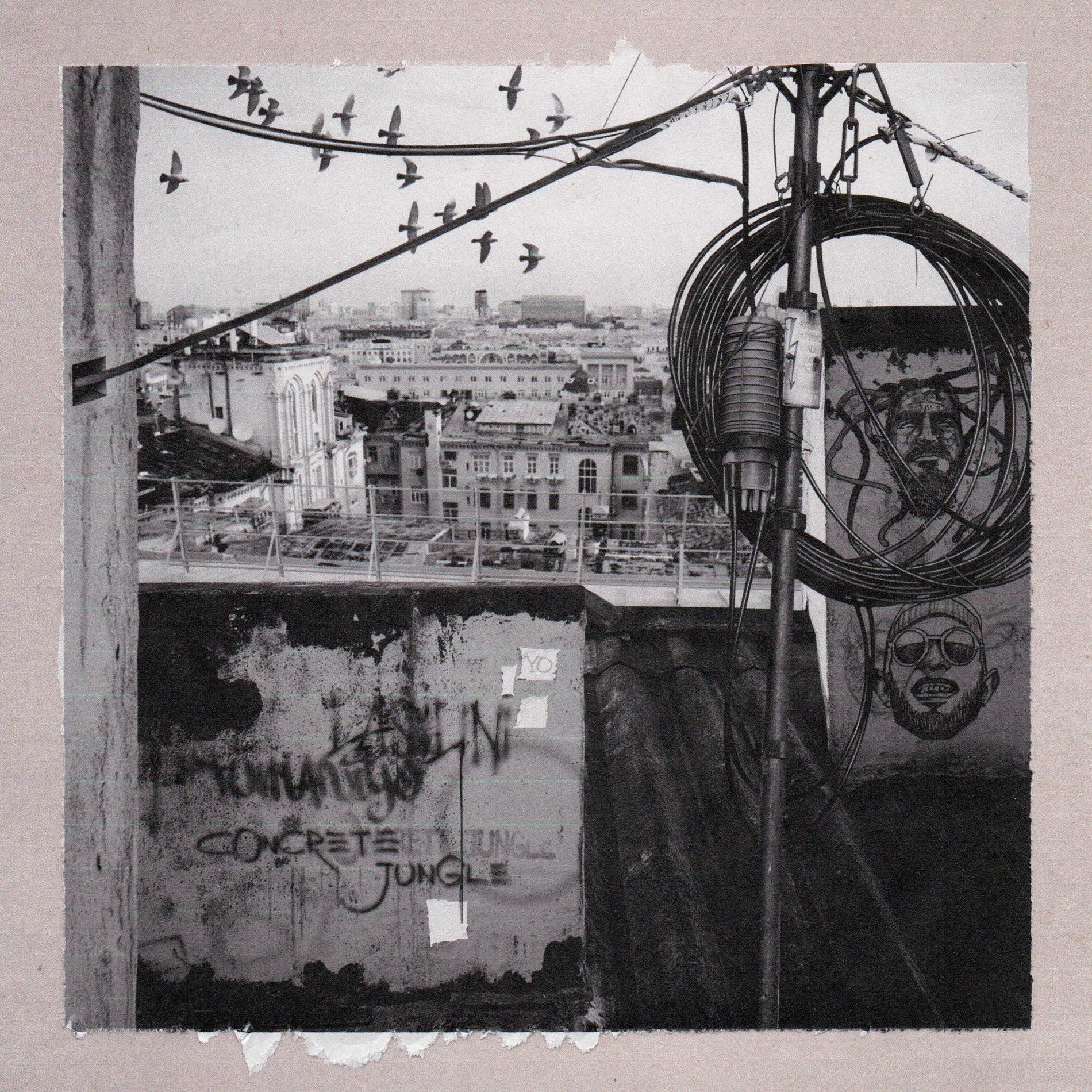 Album cover of Concrete Jungle