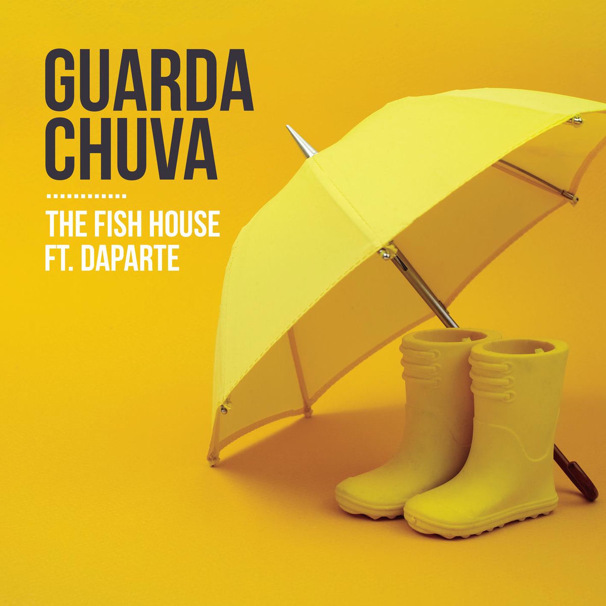 Album cover of Guarda Chuva