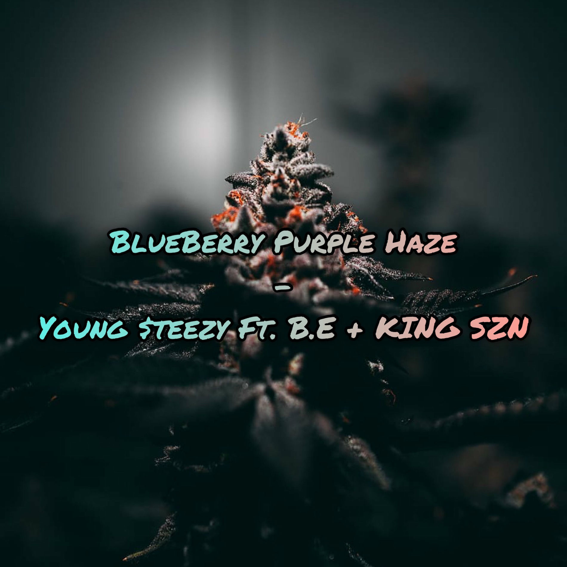 Album cover of BlueBerry Purple Haze