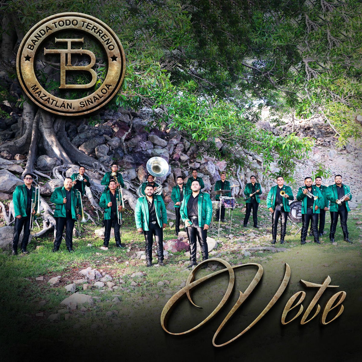 Album cover of Vete