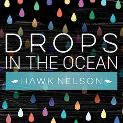 Cover of Drops in the Ocean