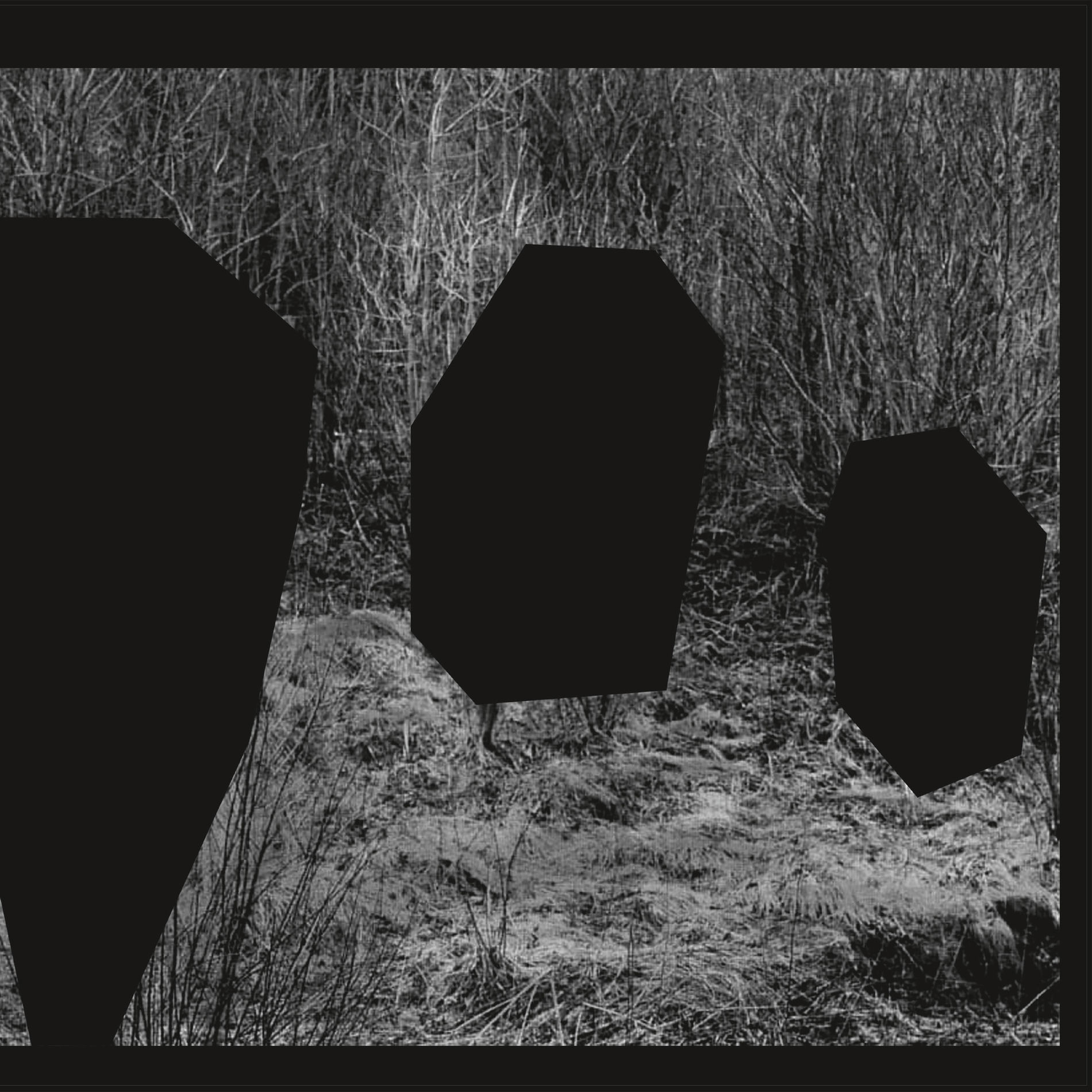 Album cover of Meeting Of The Minds