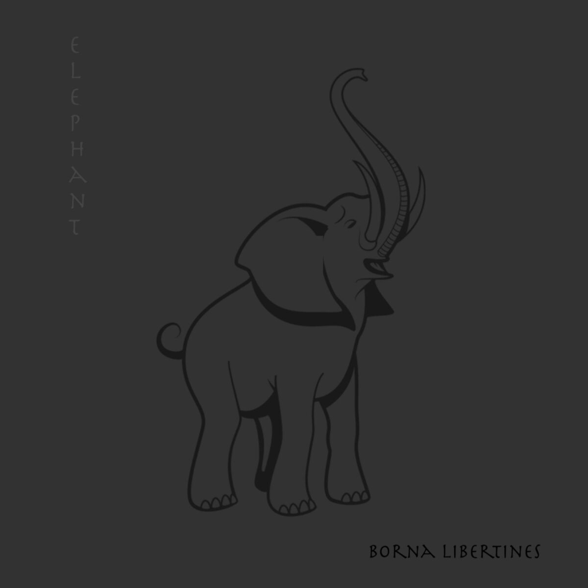 Album cover of Elephant