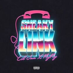 Cover of Sneaky Link