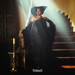 Cover of Amal