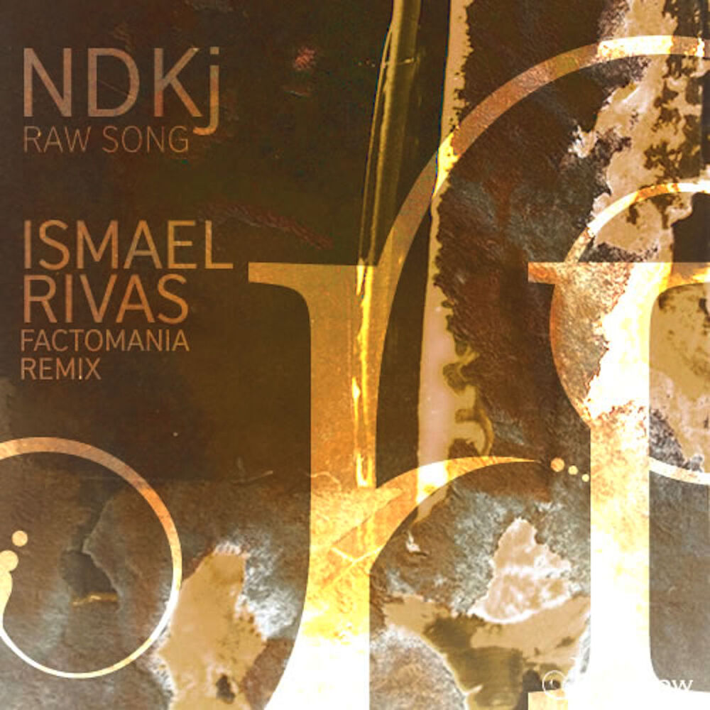 Picture of Raw Song (Ismael Rivas Factomania Remix)