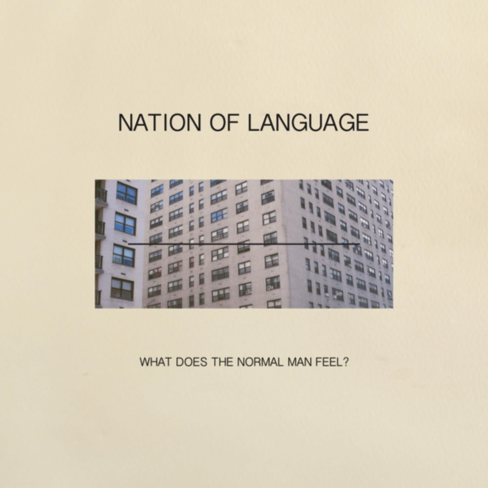 What Does the Normal Man Feel? cover