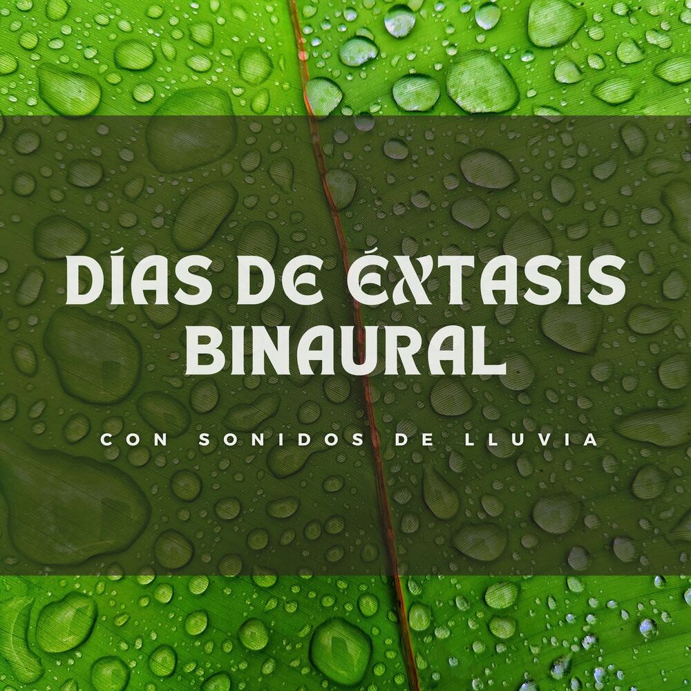 Picture of Días De Éxtasis Binaural Con Sonidos De Lluvia