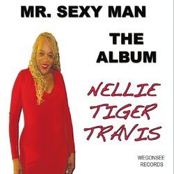 Cover of Mr. Sexy Man: The Album