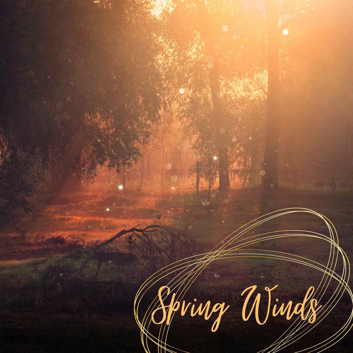 Album cover of Spring winds