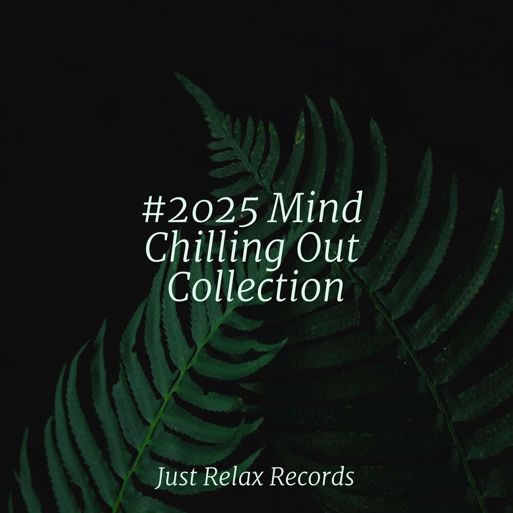 Picture of #2025 Mind Chilling Out Collection