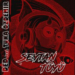 Cover of ŞEYTAN TÜYÜ