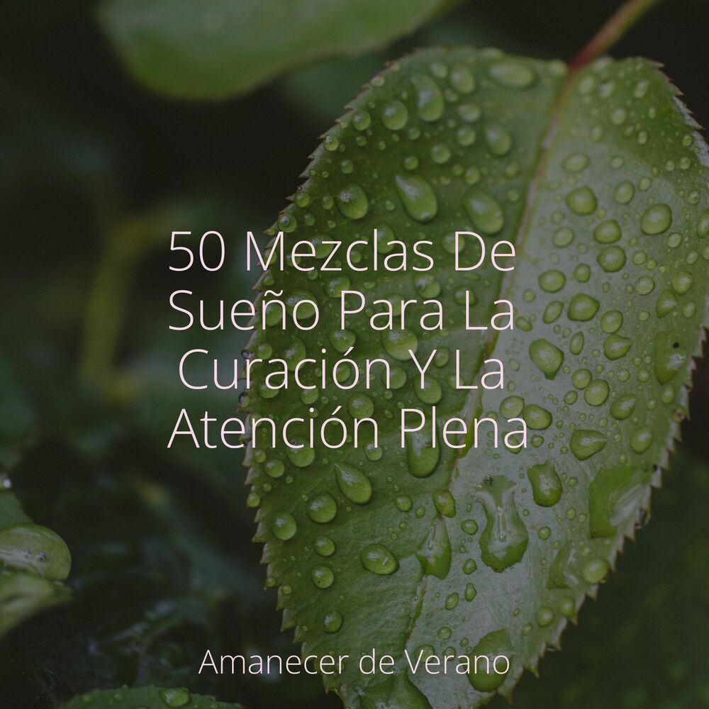 Picture of 50 Mezclas De Sueño Para La Curación Y La Atención Plena
