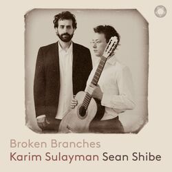 Cover of Broken Branches