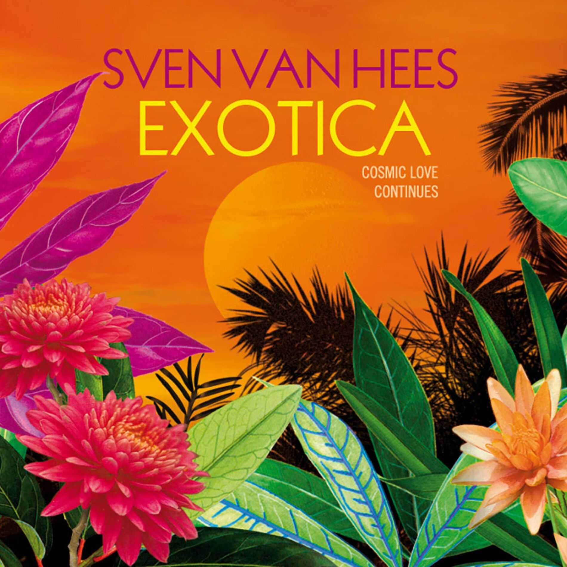 Album cover of Exotica