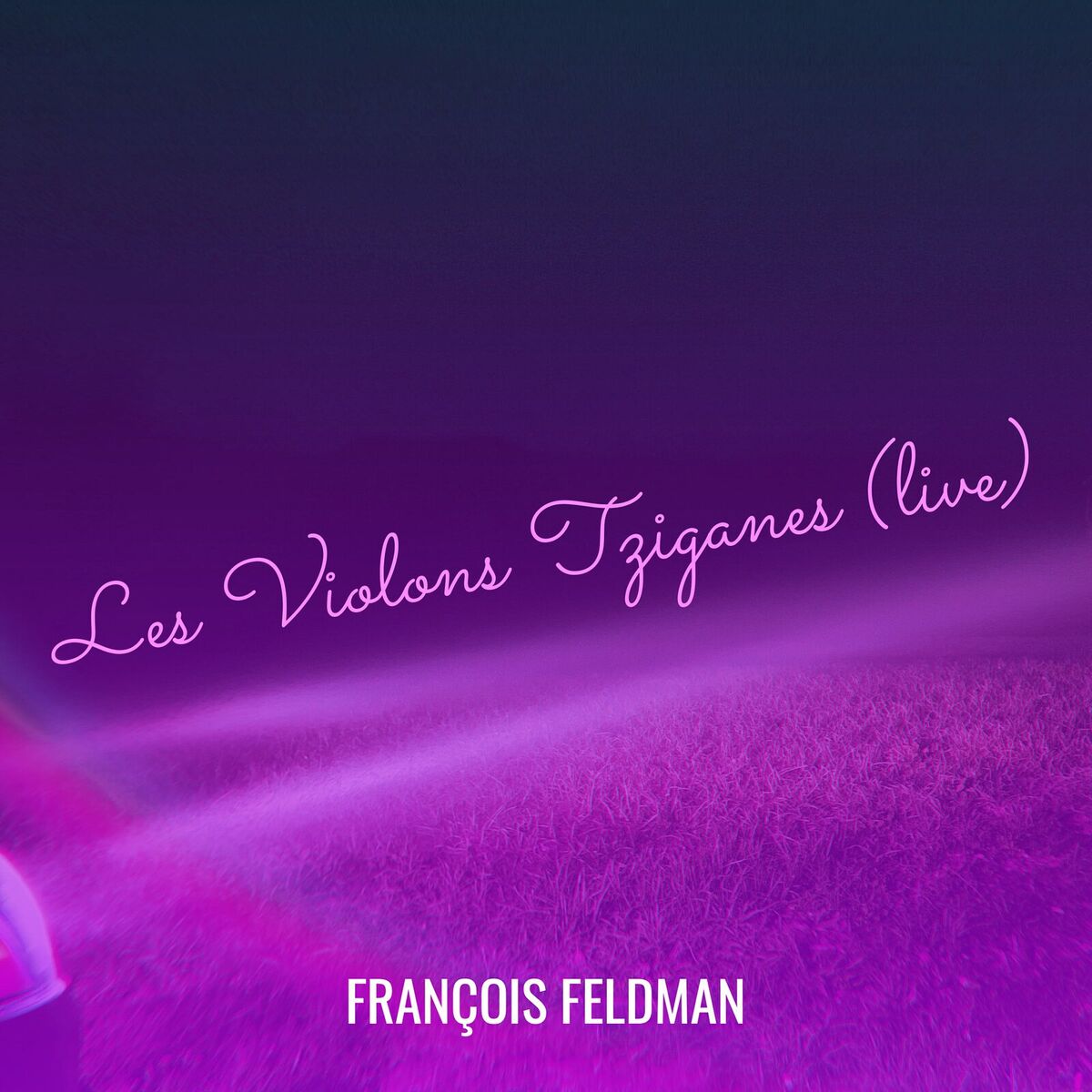 Album cover of Les Violons Tziganes (live)