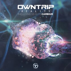 Cover of Reality
