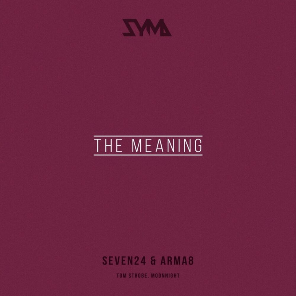 Picture of The Meaning
