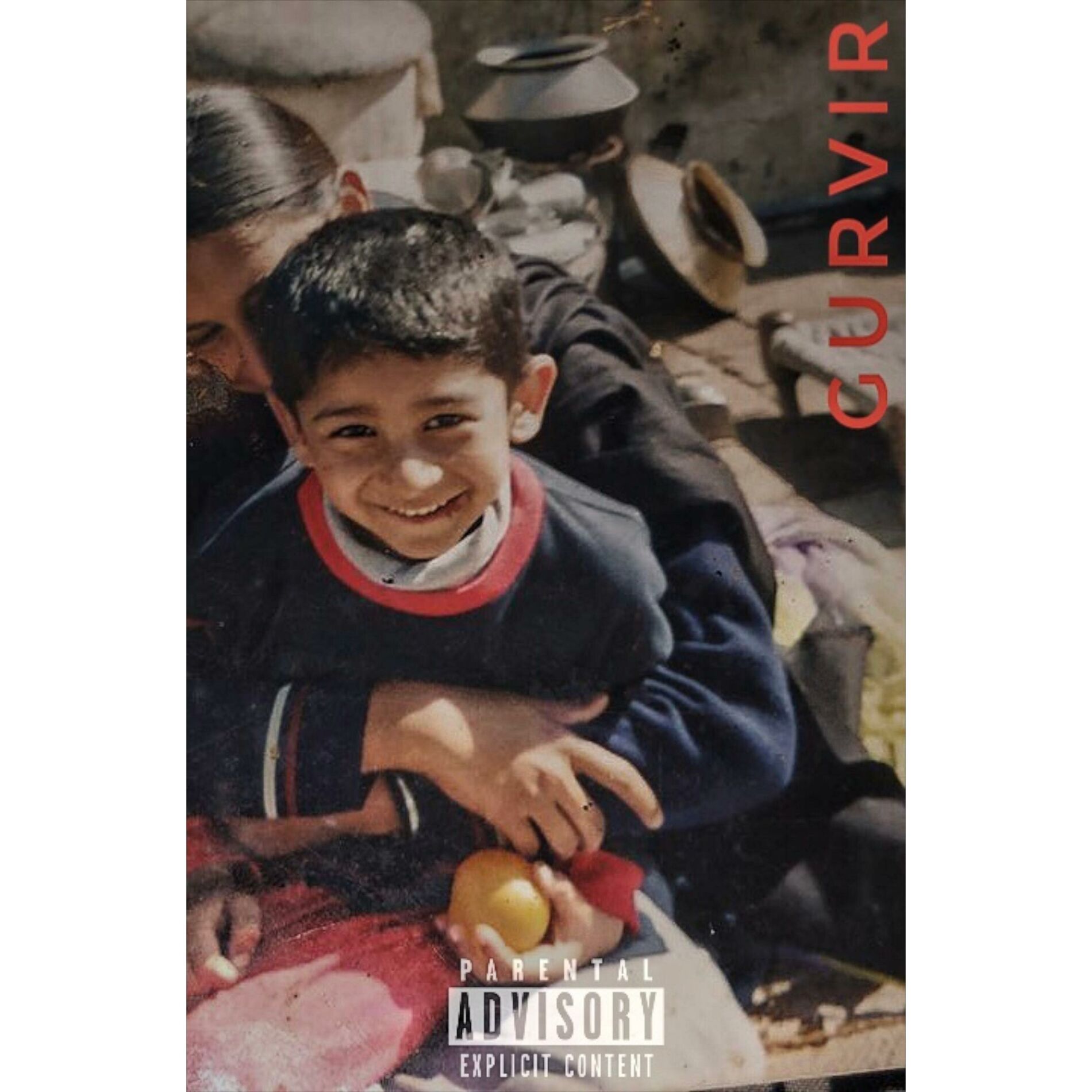 Album cover of GURVIR
