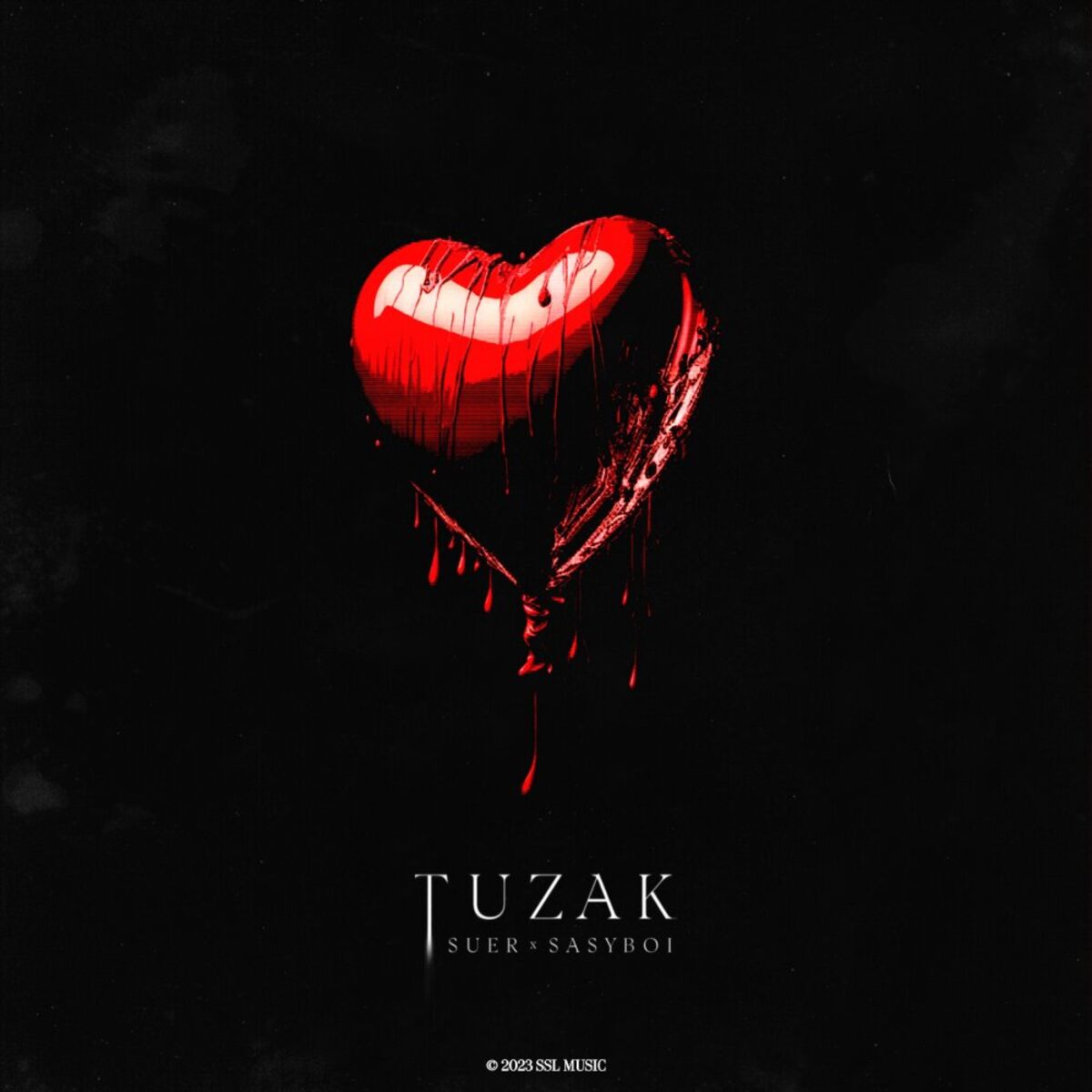 Album cover of TUZAK