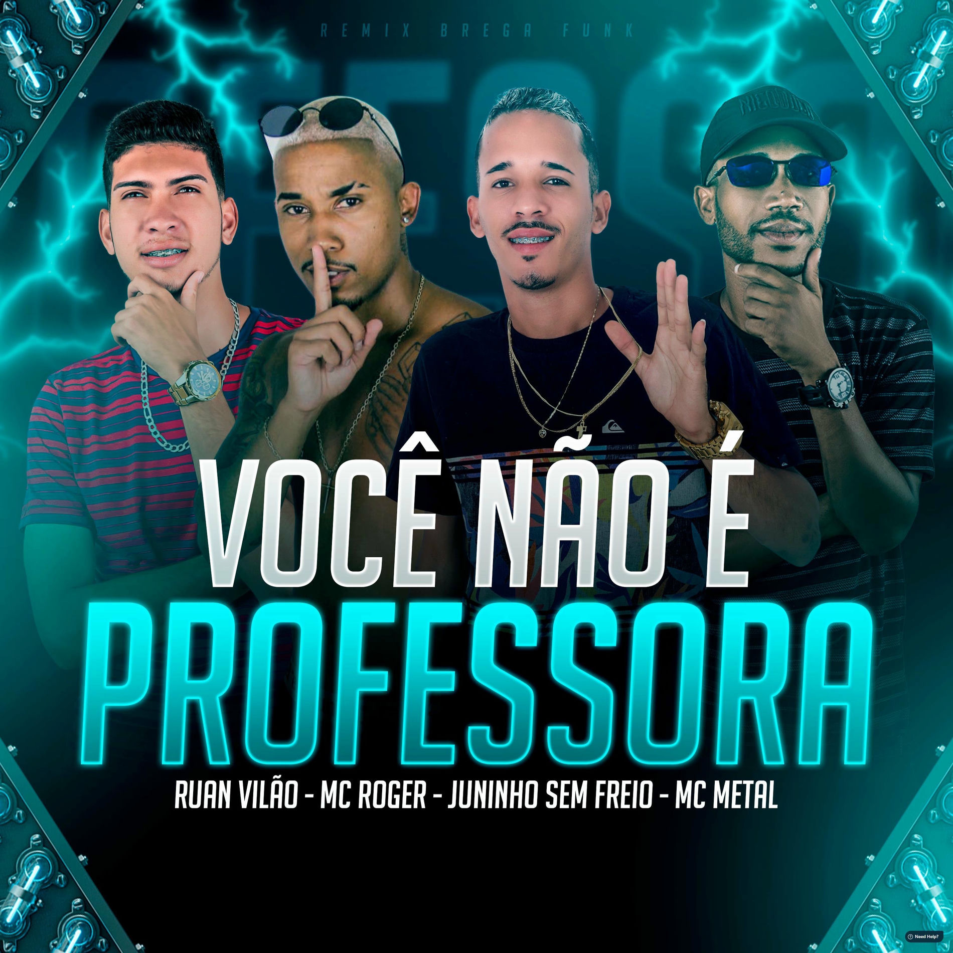 Album cover of Você Não É Professora (feat. MC Roger)
