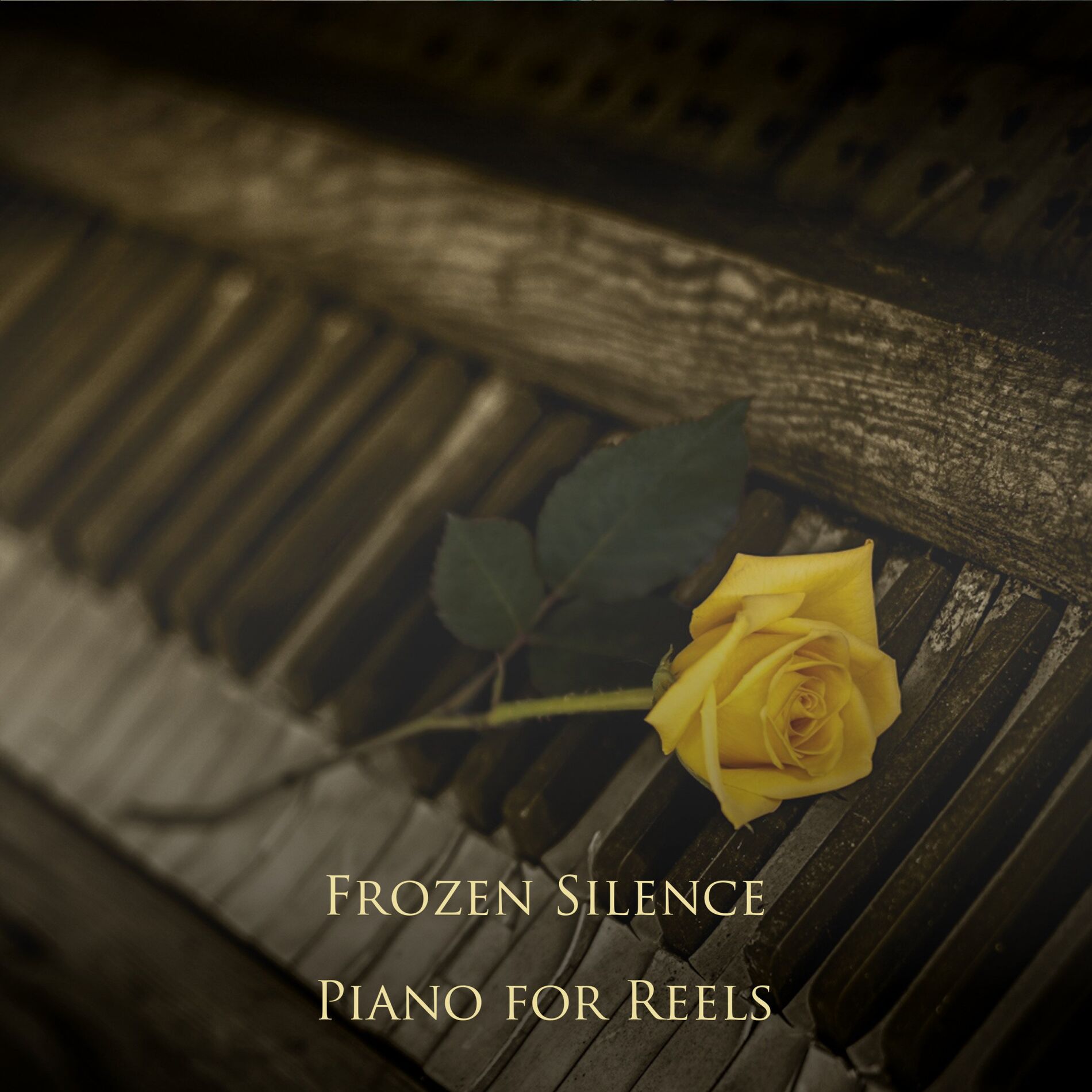Album cover of New Home
