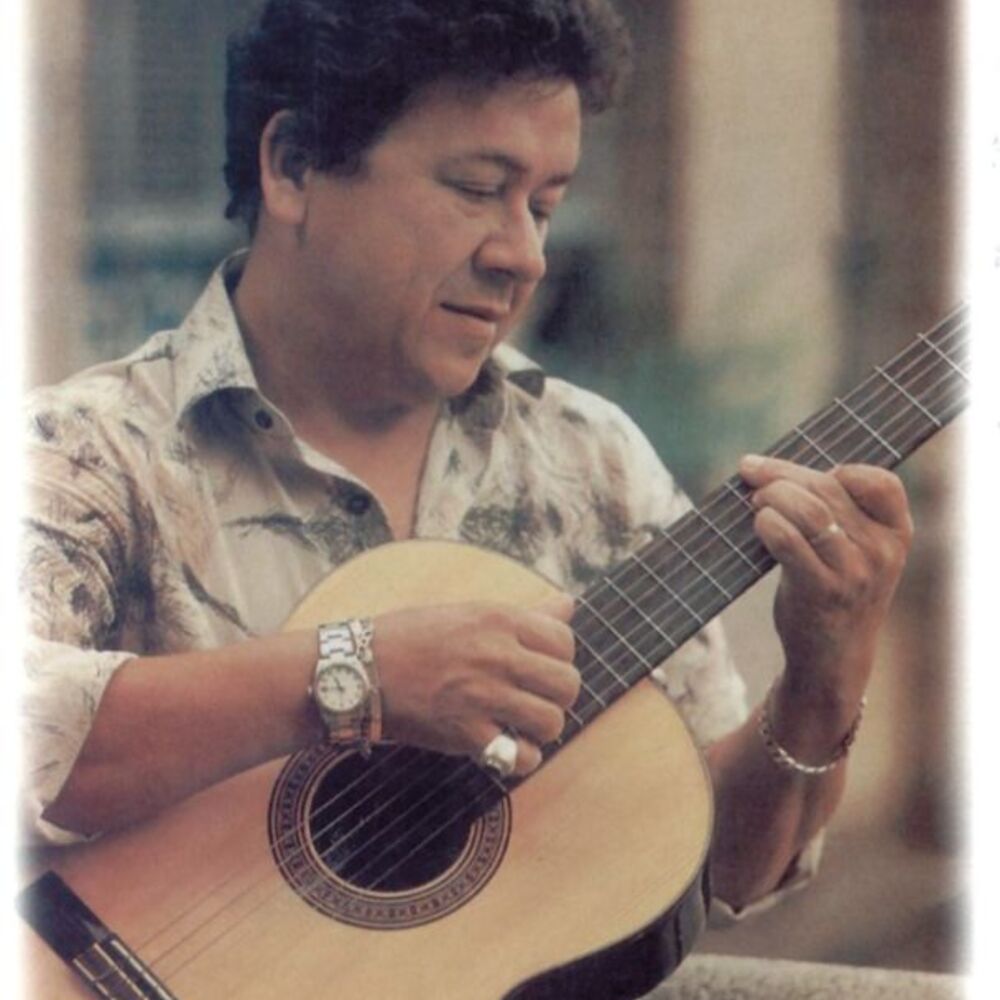 Picture of O Trovador - 20 Anos De Sucesso