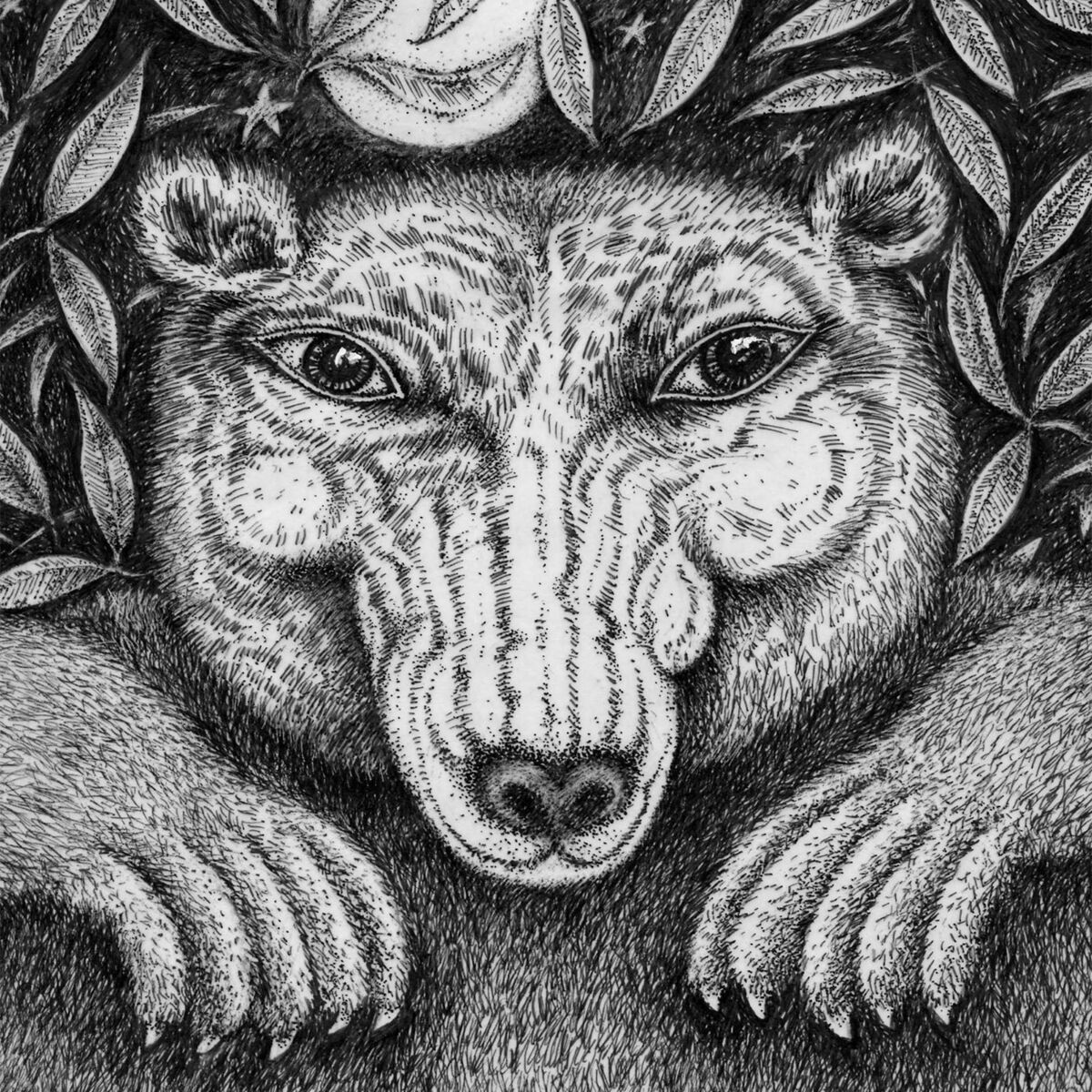 Album cover of Hibernate