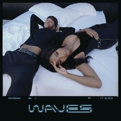 Cover of Waves