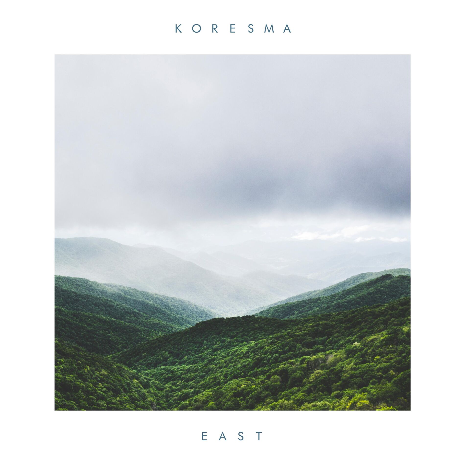 Album cover of Forest Sang