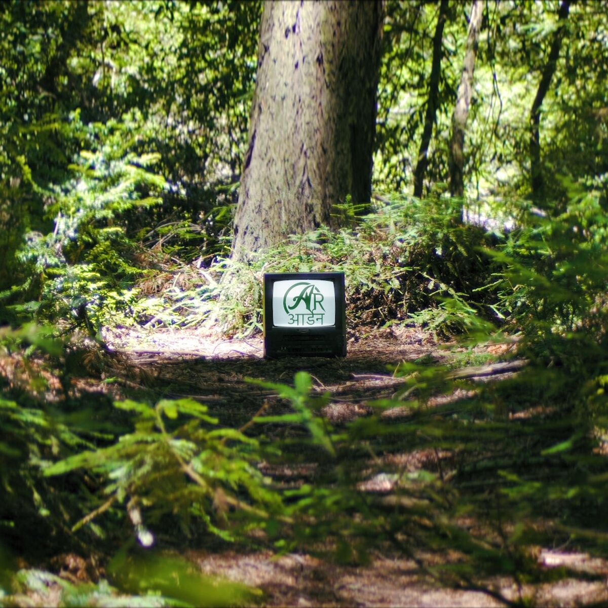 Album cover of Arden
