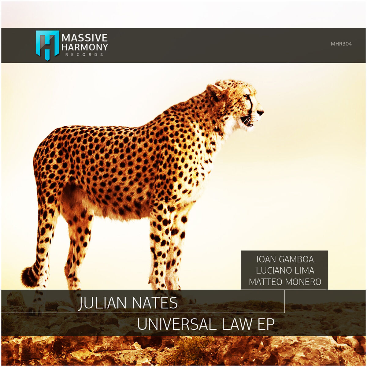 Album cover of Universal Law