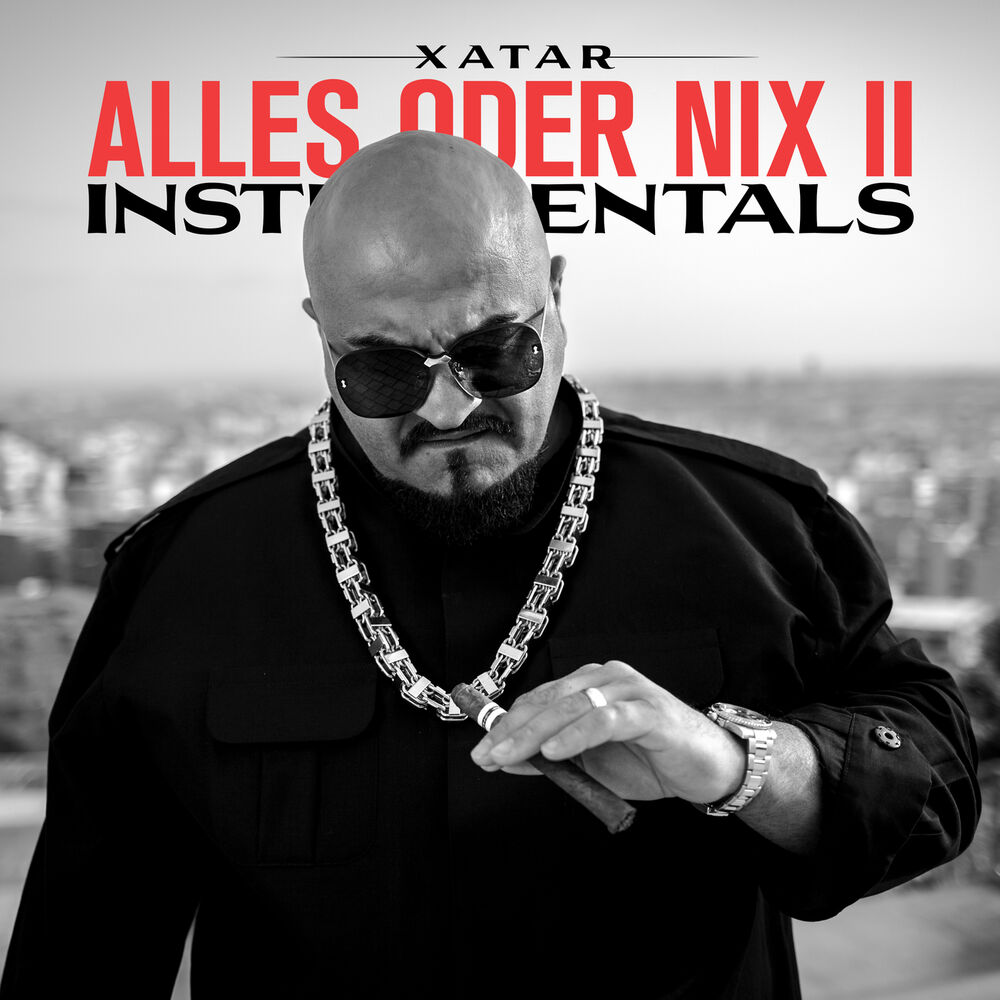 Picture of ALLES ODER NIX II (Instrumentals)