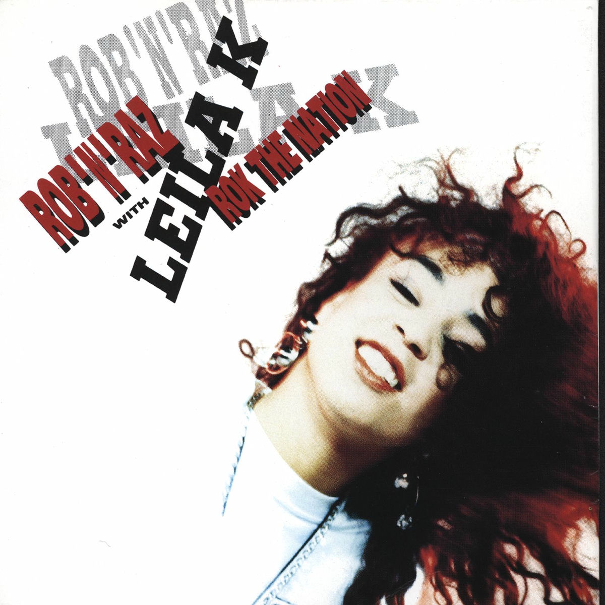Album cover of Rok The Nation