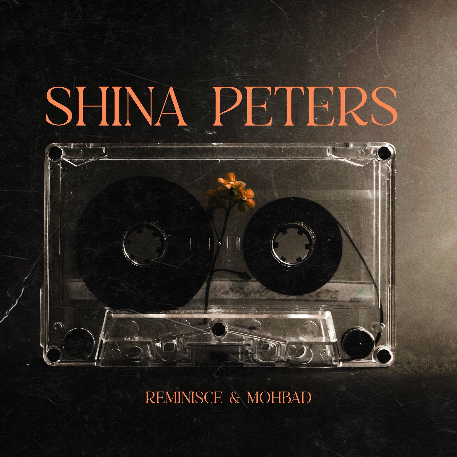 Album cover of Shina Peters