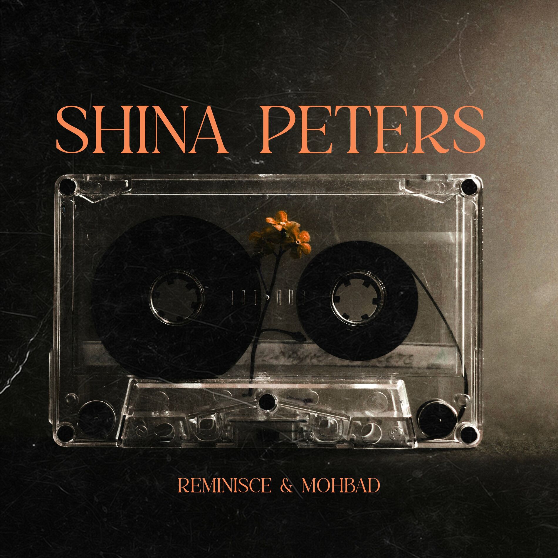 Album cover of Shina Peters