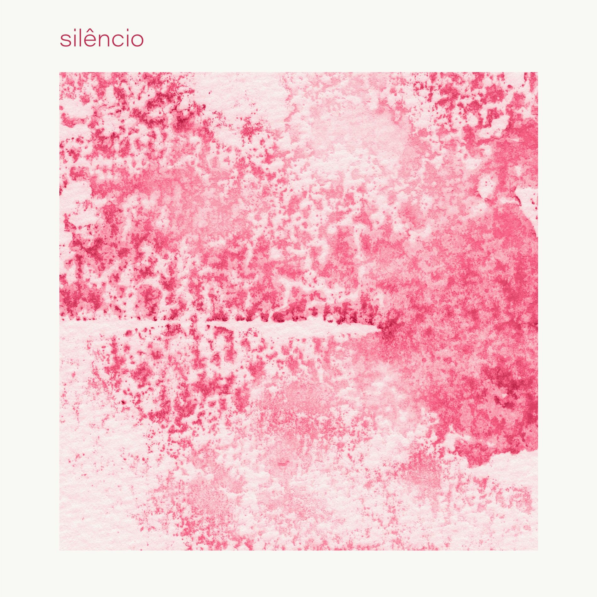Album cover of Silêncio