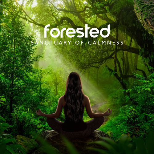 その他 Forest Relaxation [DVD] Forest Relaxation [DVD] 【公式通販】