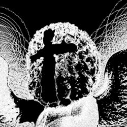 Cover of BEAUTY IN THE BREAKDOWN