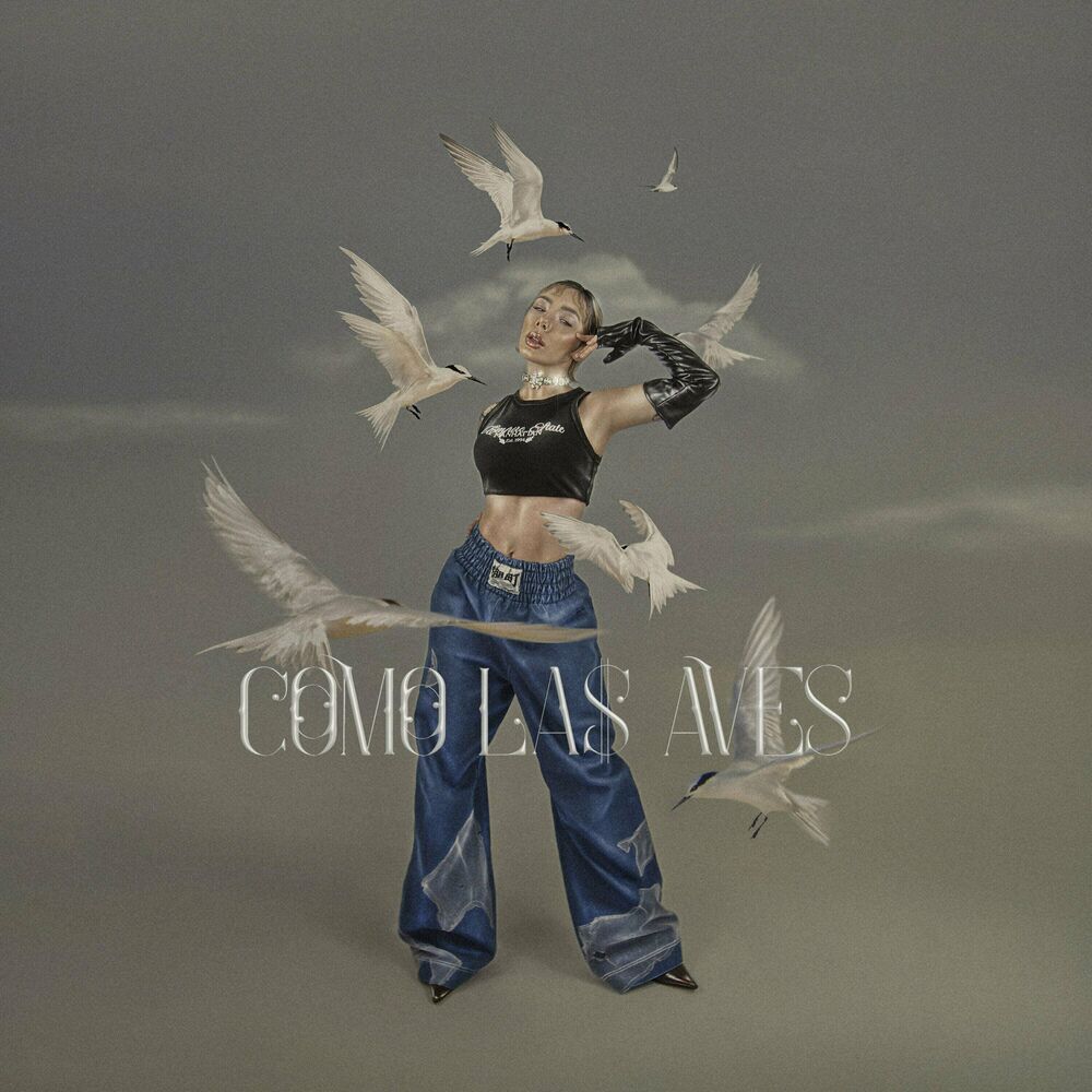 Picture of Como las Aves