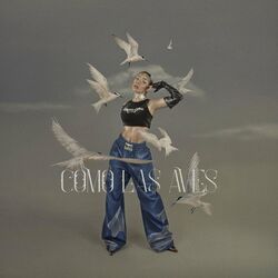 Cover of Como las Aves