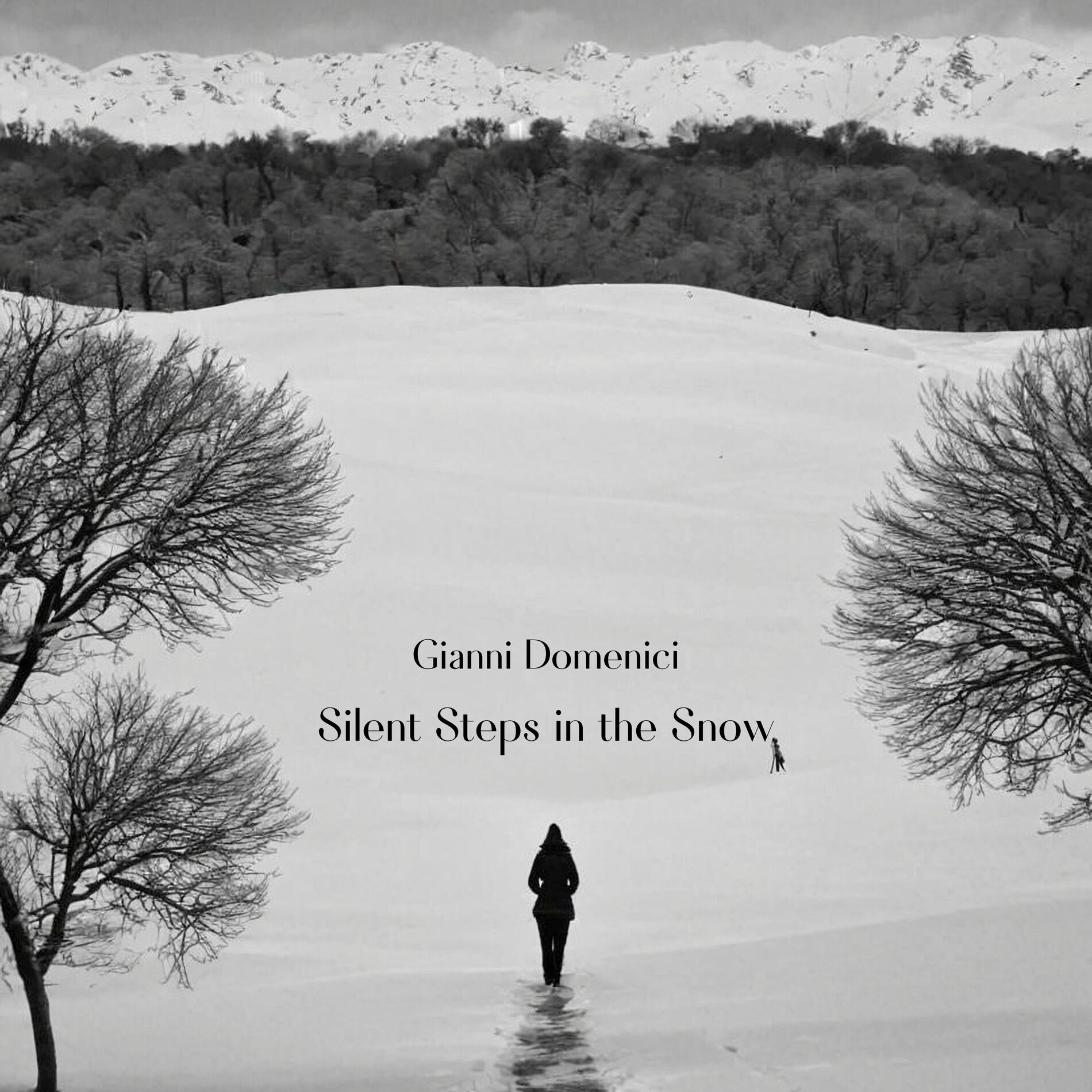 Album cover of Silent Steps in the Snow