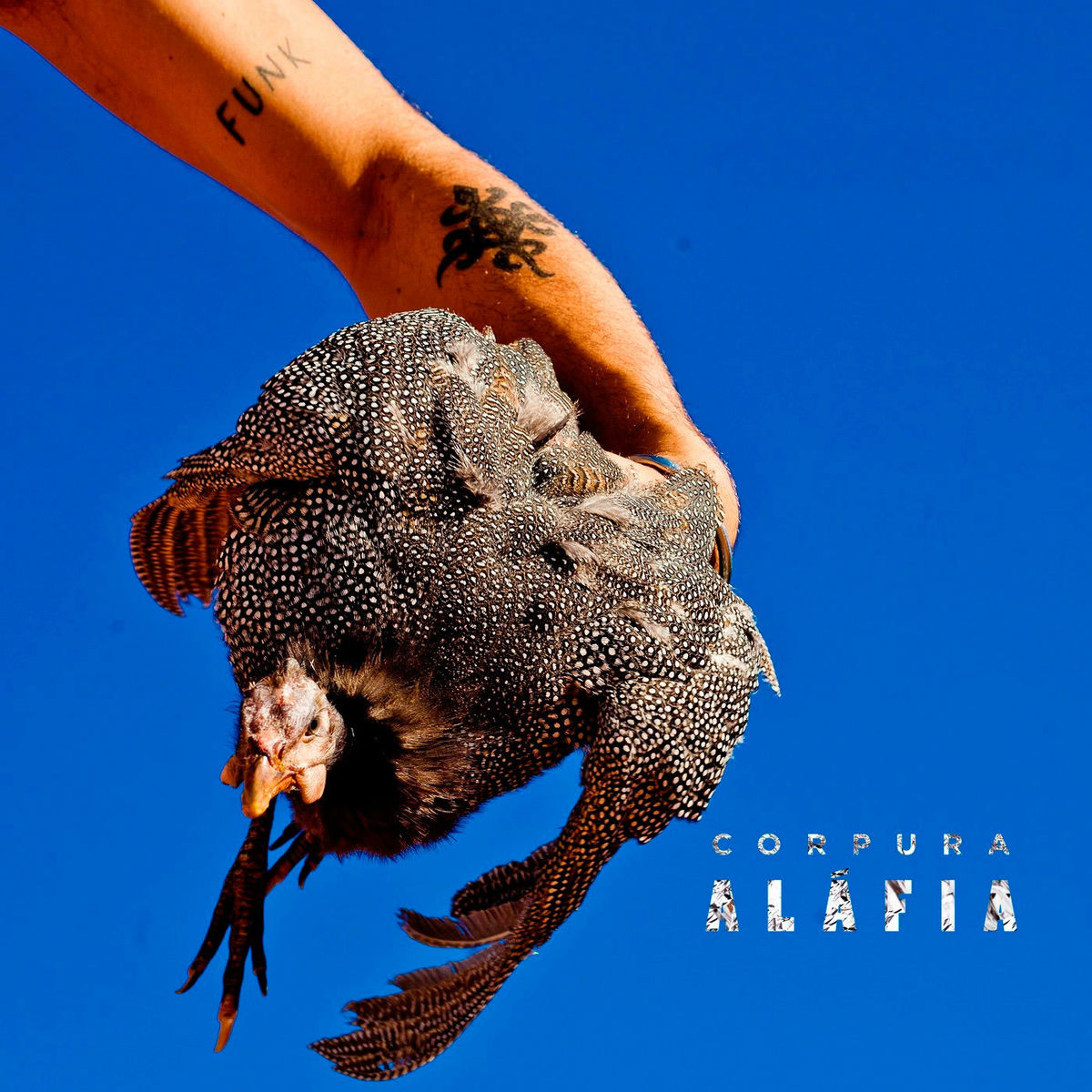 Album cover of Corpura / Adinkras