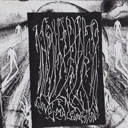 Cover of Lung Malfunction