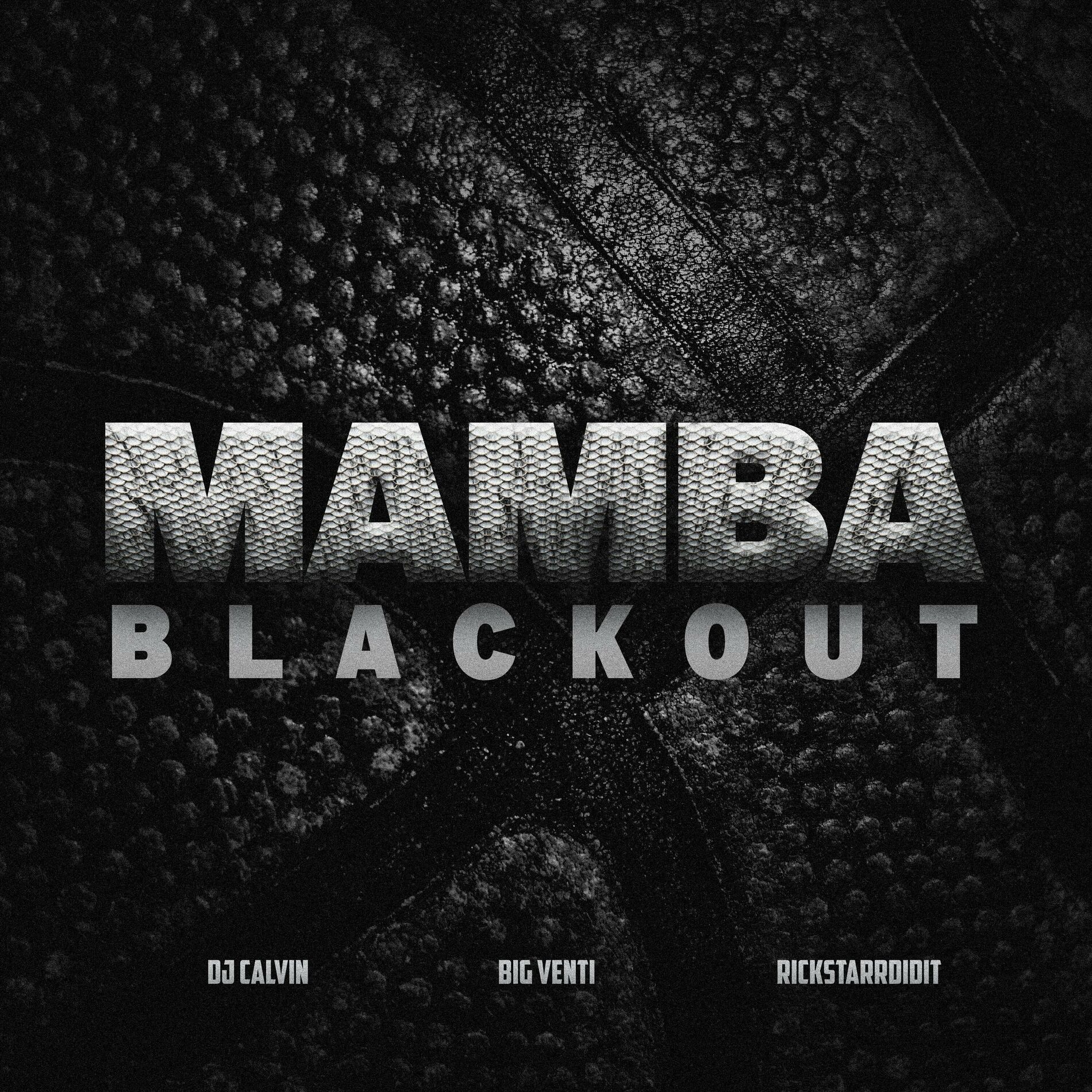 Album cover of MAMBA BLACKOUT (Mixtape Version)