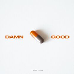 Cover of DAMN GOOD