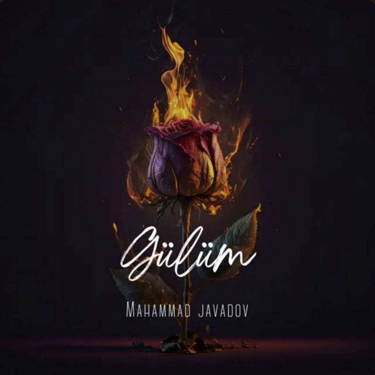 Album cover of Gülüm